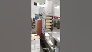 Z type bucket elevator conveyor For Food Industry Conveyor