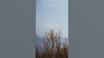 والله يريد ان يتوب عليكم ويريد الذين يتبعون الشهوات ان تميلوا ميلا عظيما محمد اللحيدان قرآن Quran 