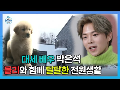 [주간 예능연구소] 배우 박은석🧡반려견 몰리의 행복한 전원생활~🎵/전지적 참견 시점/복면가왕 | 예능 <strong>TOP</strong> 3 모아보기  <strong>MBC</strong> 210122 등 방송 #134