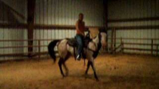 DSCF0702.AVI