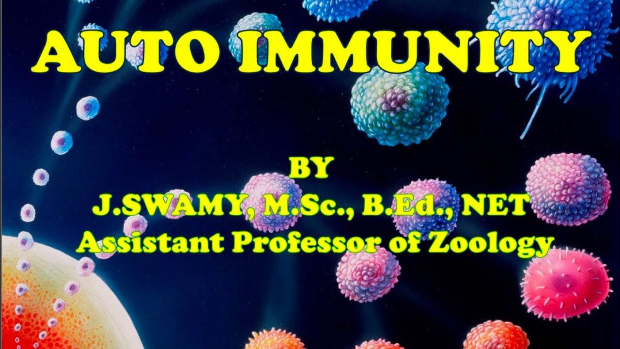 AUTO IMMUNITY AUTOIMMUNE DISEASES Haemolytic Anaemia Myasthenia gravis Graves disease SLE