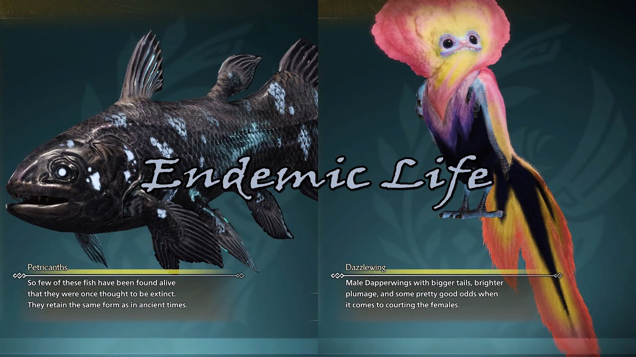 MHWilds [🐞 Ecological Research] Endemic Life