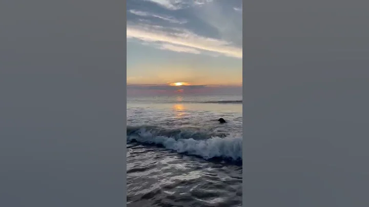 Marilyn at sunrise in Dewey Beach, a way of life