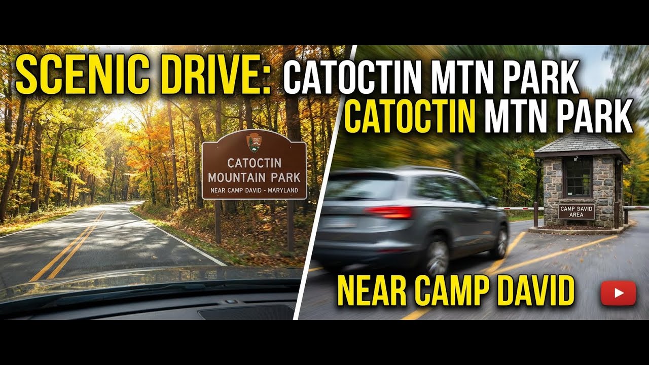 Driving Through Catoctin Mountain Park near Camp David - Maryland
