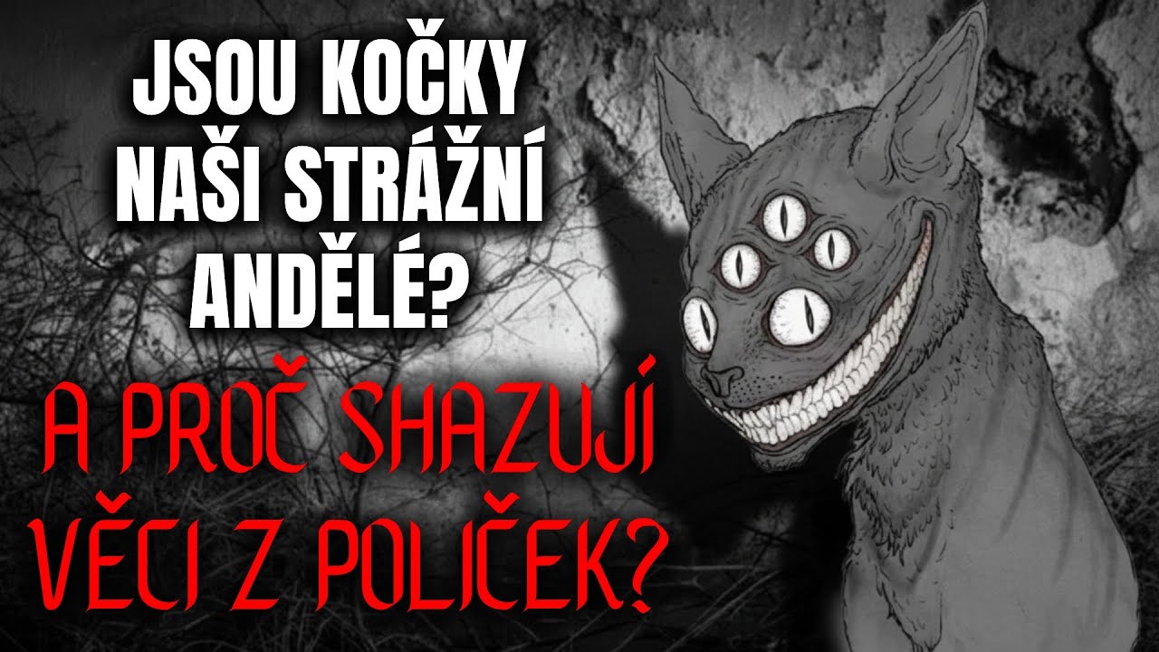 JSOU KOČKY NAŠI STRÁŽNÍ ANDĚLÉ? A PROČ SHAZUJÍ VĚCI Z POLIČEK? - Creepypasta CZ