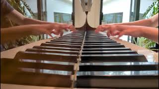 *Excerpt* from The Forsaken Waltz by Joshua Kyan Alampour