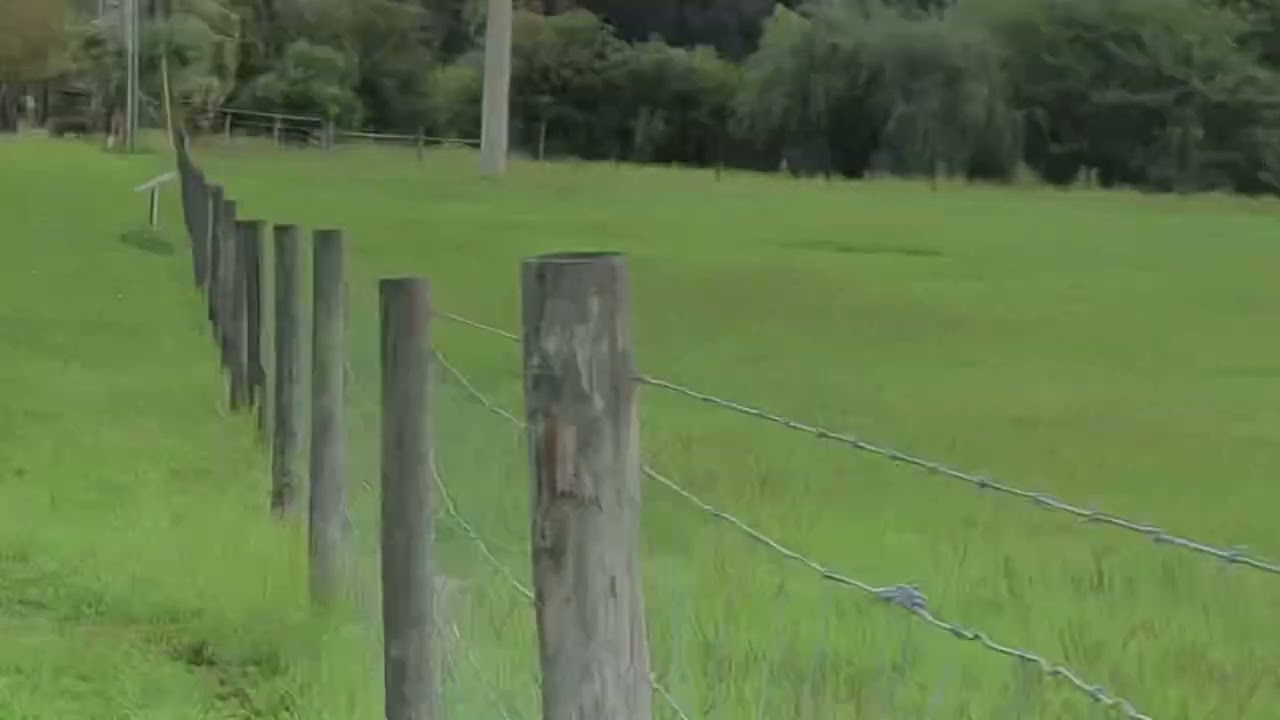 ISO MFF STR🔥💥⭐️