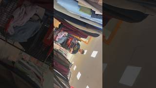 Grey Shorts bulge reaction: *Latina Edition*