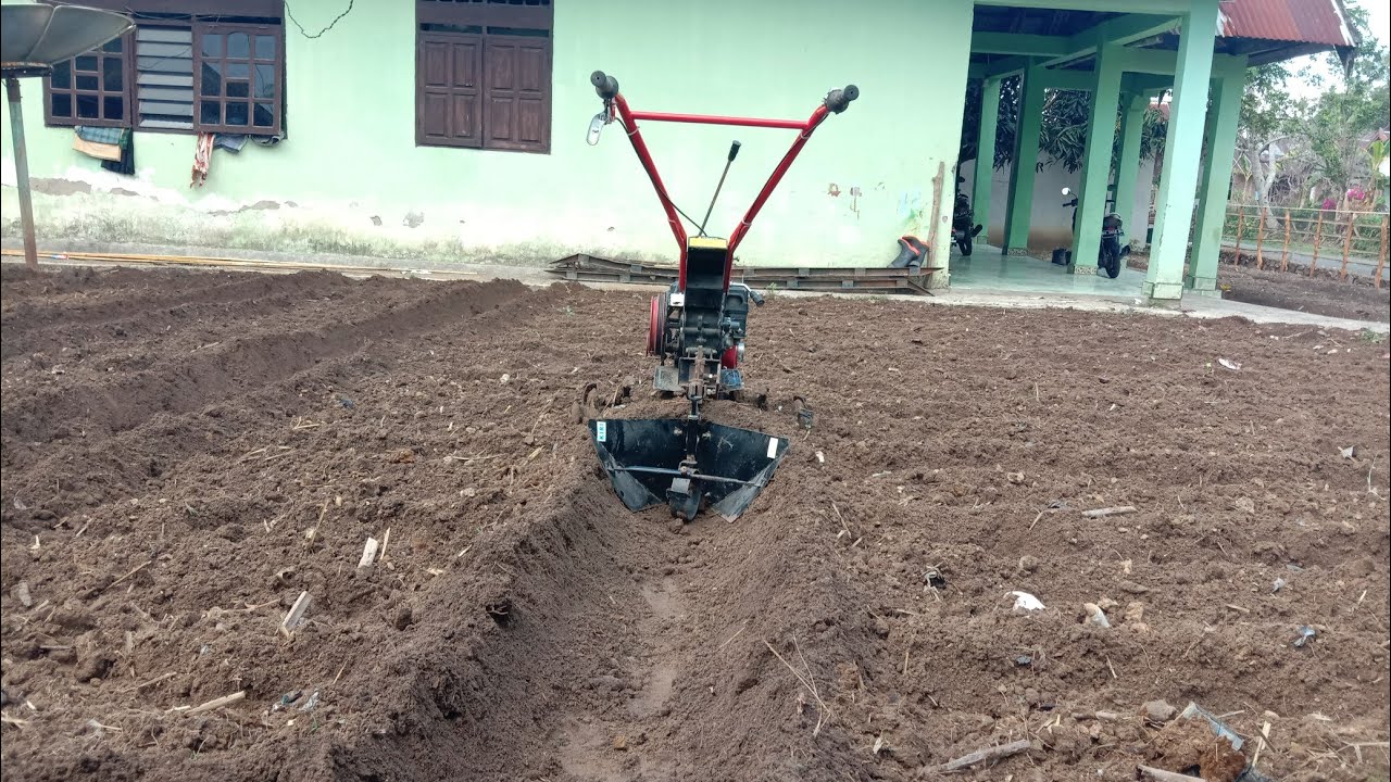 CARA BUDIDAYA CABE | PART1:PENGOLAHAN TANAH DAN BUAT PARIT 