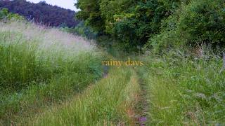 Cozy rainy days in the Polish countryside | silent vlog, morning routine & creating a garden screenshot 5