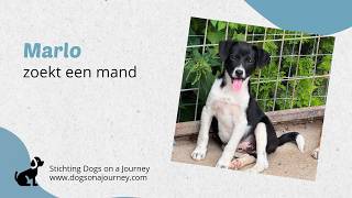 Marlo zoekt een mand