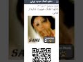 اهنگ خوبیت نداره از سانی 