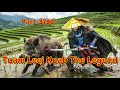 Tuam Leej Kuab The Legend Hmong Warrior  (Part 3790)