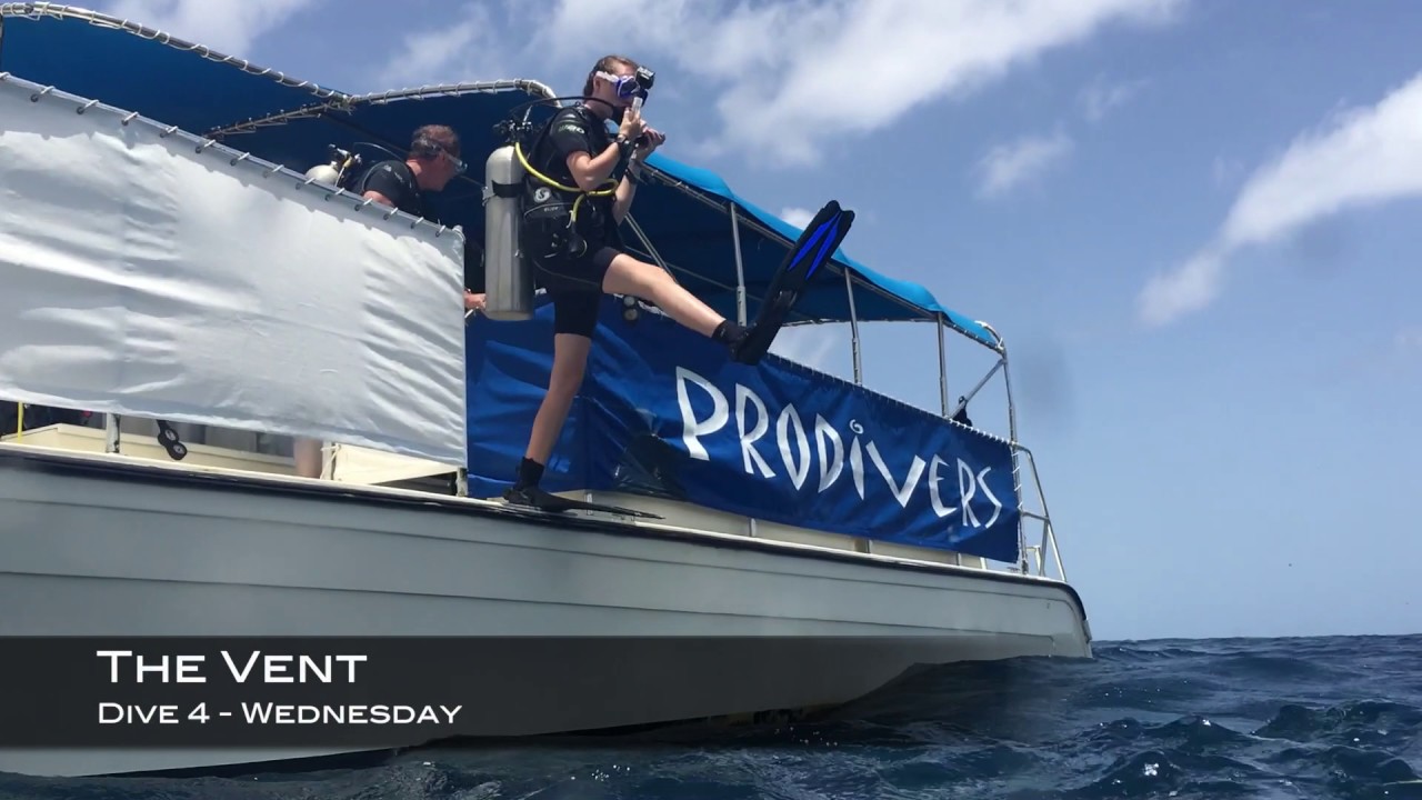 Scuba Diving St Kitts 2017 Lenz0 Iphone housing YouTube