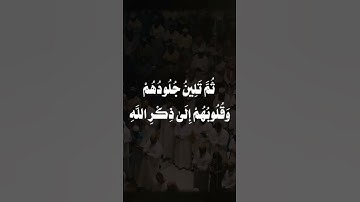 تلاوة هادئة تريح الأعصاب😴🎧 | القاريء ماهر المعيقلي- سورة الزمر✨🌥️" #القرآن_الكريم #القرآن #islam