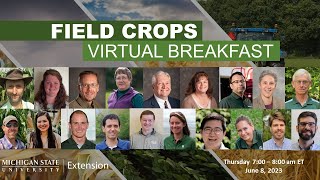 Field Crops Virtual Breakfast: Hot Topics Q&A with Specialists