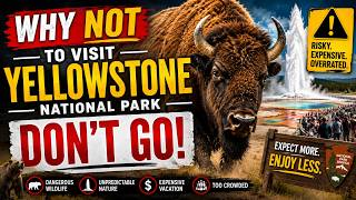 Why NOT to Visit Yellowstone National Park -- DON'T GO !!!!!!