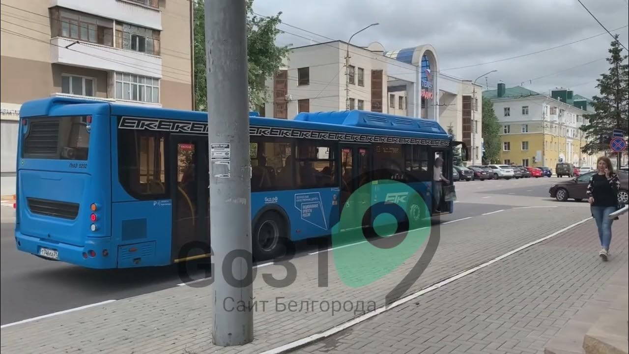 автобусы белгород остановки