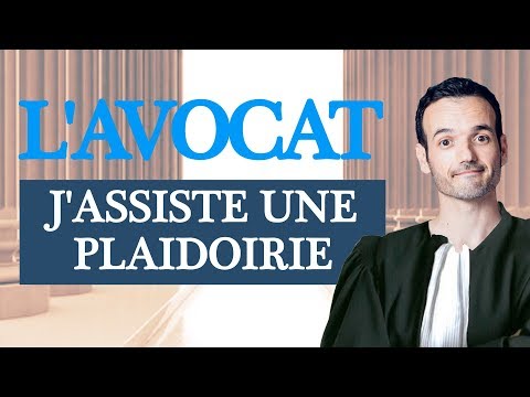 J'aide une avocate pour sa plaidoirie !
