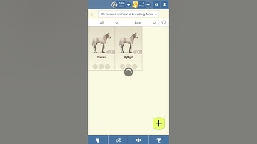 Howrse Gameplay Part 1