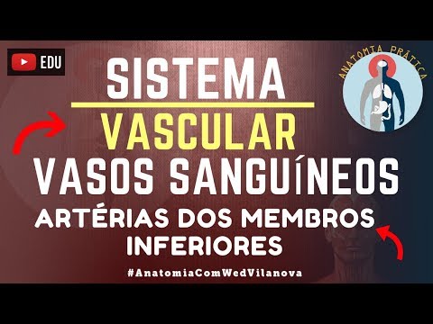 Vídeo: Angiopatia Das Extremidades Inferiores, Angiopatia Hipertensiva Dos Vasos Sanguíneos
