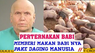 PEMILIK PETERNAKAN BABI MEMBERI PAKAN BABI NYA MENGGUNAKAN DAGING MANUSIA ‼️ SUSAN MONICA PEMILIK PETERNAKAN BABI MEMBERI PAKAN BABI NYA MENGGUNAKAN DAGING MANUSIA ‼️ SUSAN MONICA
