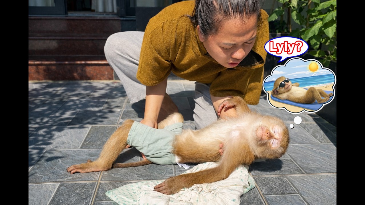 Unbelievable! Lyly the monkey loves sunbathing, and what happens when her mom shows up?