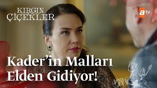 Macide ve Ejder kasayı boşaltıyor!  | Kırgın Çiçekler Mix Sahneler