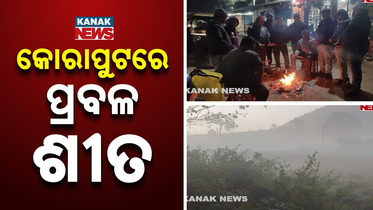 Severe Cold Wave Grips Laxmipur, Farmers Bear the Brunt Amid Harvest Season