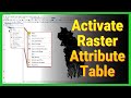 How to Add or Build Raster Attribute Table of Any Raster in ArcGIS