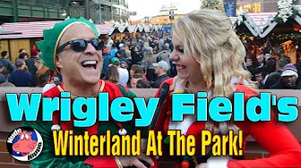 Wrigley Field's Winterland At The Park | NUDE HIPPO (2017)