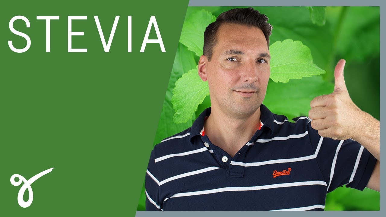 stevia  New  Stevia: Wie gesund ist die Zucker-Alternative? | Gerne Gesund