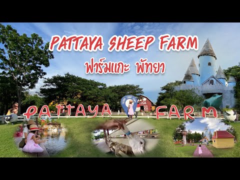 เที่ยวฟาร์มแกะ  วิ่งเล่นในเมืองนิทาน | ฟาร์มแกะ พัทยา Pattaya Sheep Farm 2020