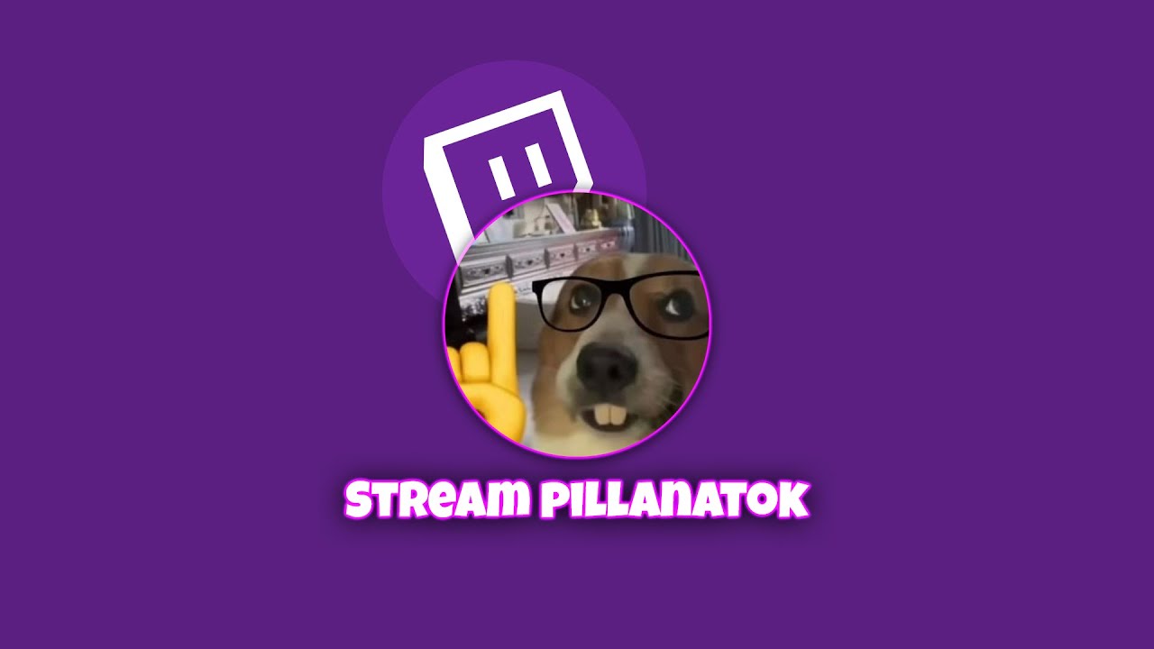 The bro spawned 🗿 | Stream pillanatok #1