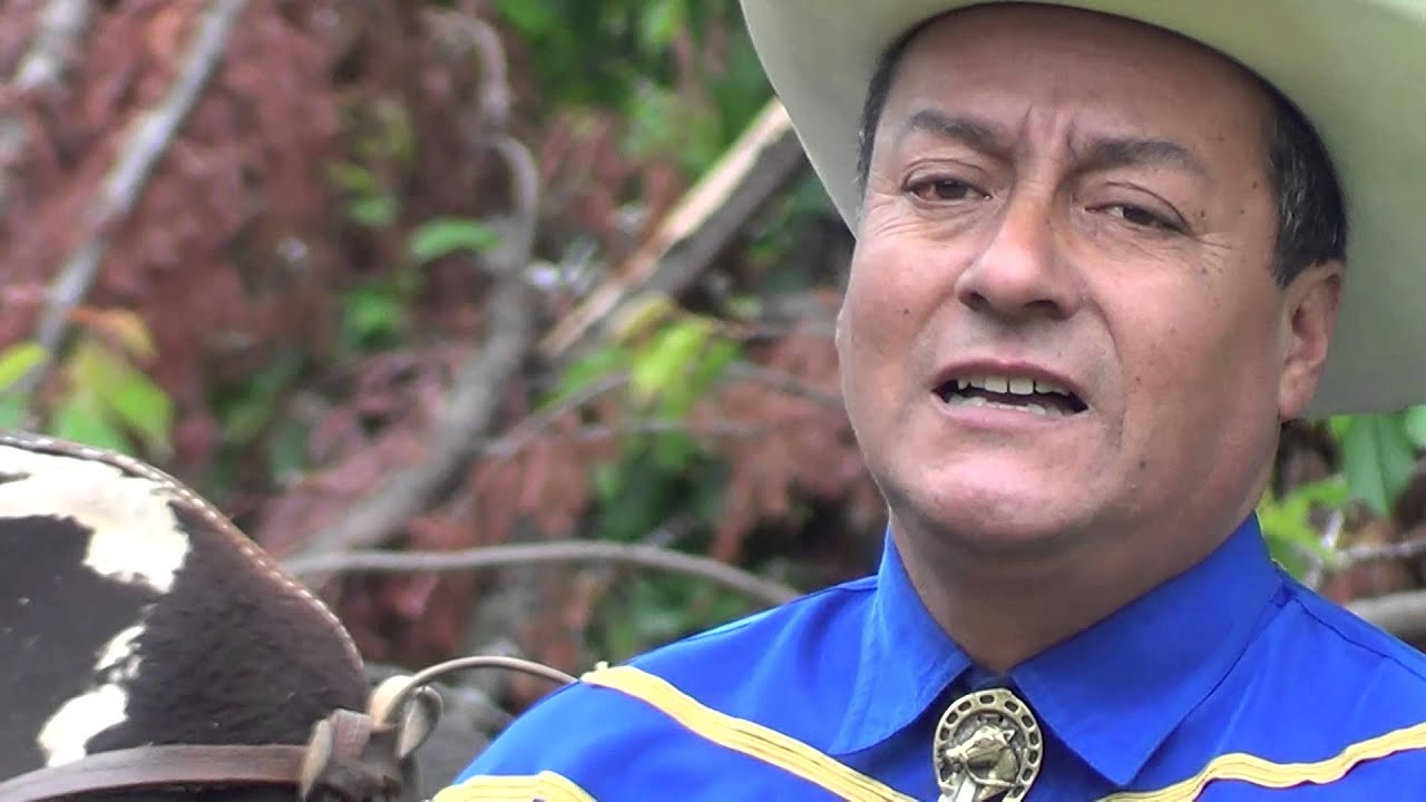 Enrique Bravo  Como una rosa