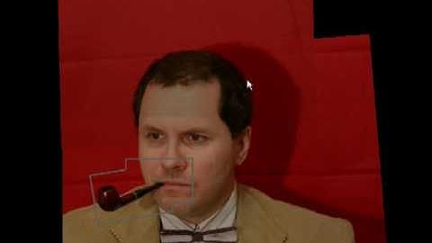 Scene Collages and Flexible Camera Arrays: Photo-browing using nested collage