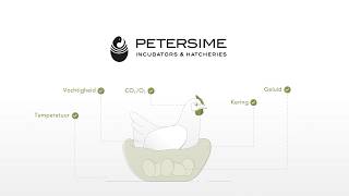 Nature As A Reference - Animation - Nl Sub