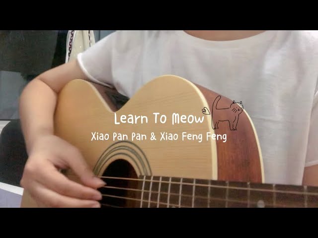 Learn To Meow / Xiao Pan Pan & Xiao Feng Feng (cover) class=