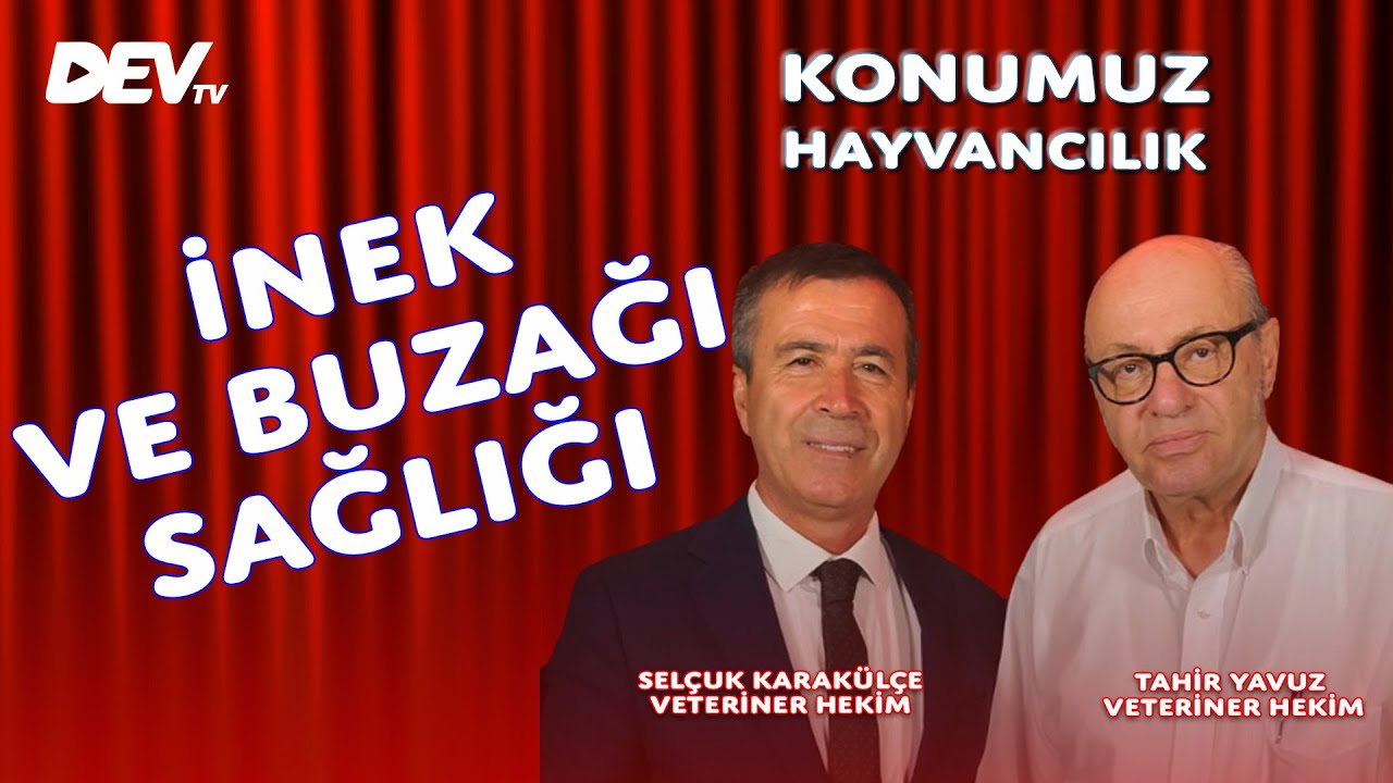 İnek ve Buzağı Sağlığı - Tahir Yavuz | Selçuk Karakülçe - Konumuz Hayvancılık