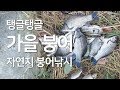 붕어 낚시,  용인 방고지 조행