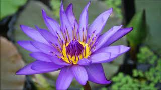 9 minute background music,background music short time