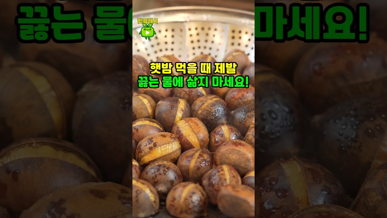 햇밤 먹을 때 제발 끓는 물에 삶지 마세요! 껍질 훌러덩 벗기는 비법!