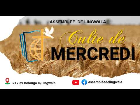 [FR] "Vous les reconnaîtrez à leurs fruits "  Frère Joseph LILANGA