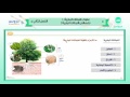 الثاني المتوسط | الفصل الدراسي الثاني 1438 | علوم| النباتات البذرية-1(خصائص النباتات البذرية)