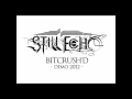 Still Echo - Bitcrush'd (DEMO VERSION)