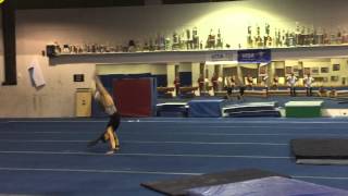Morgan Hoang Double Layout Progress 3/3/15