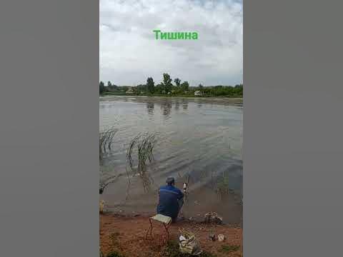 Такси Башкирия Ермолаево - номер телефона, цены и отзывы