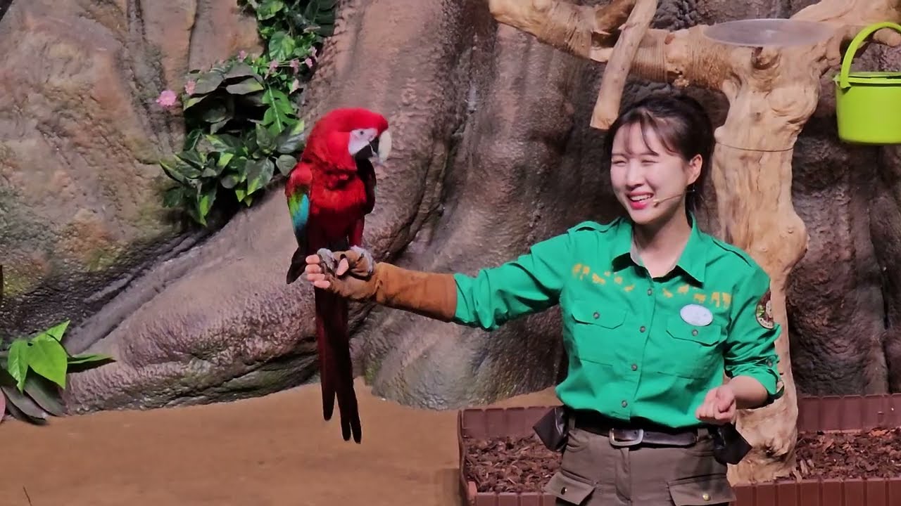 2025.02.28 에버랜드 슈퍼윙스 애니멀 톡