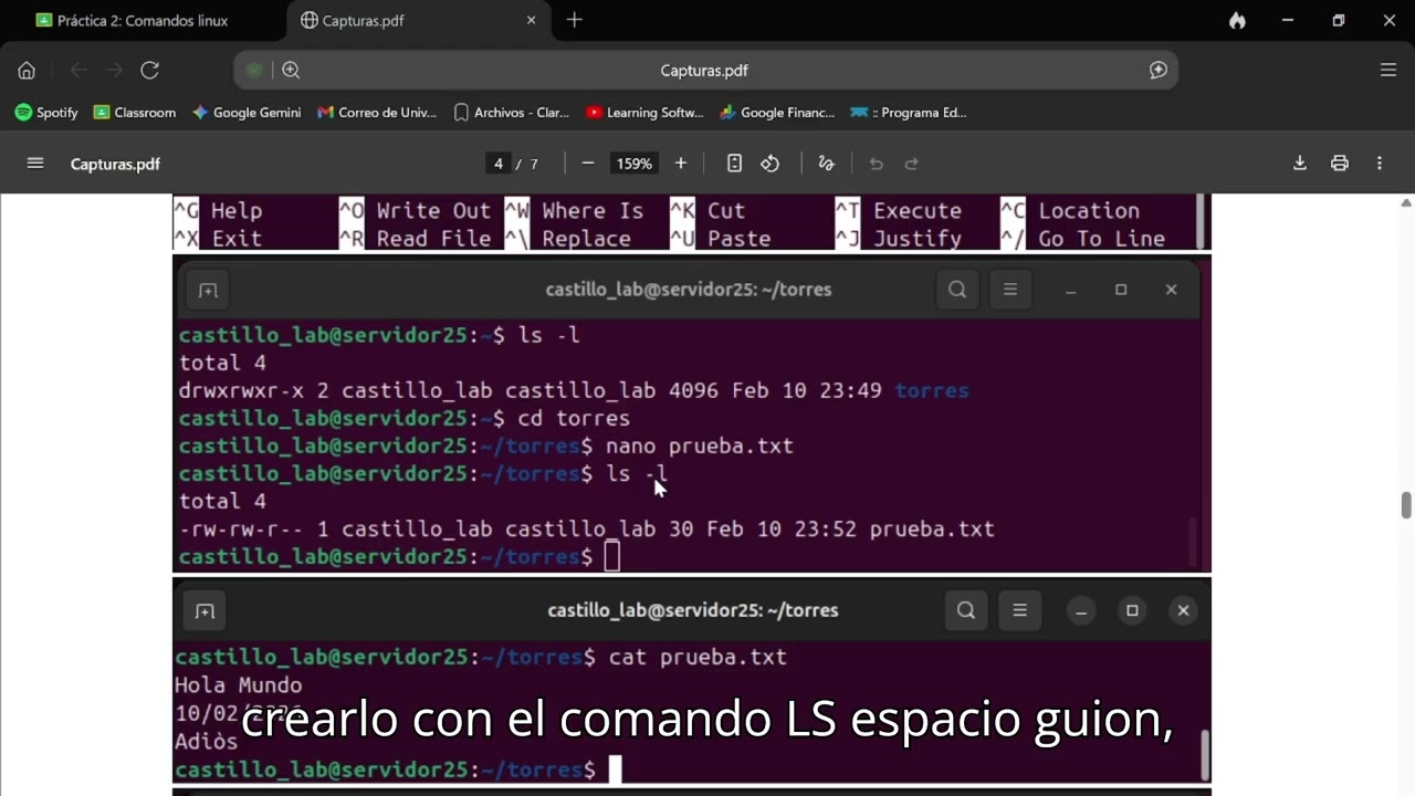 Práctica 2: Comandos Linux