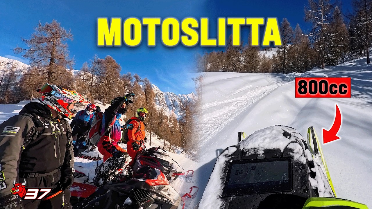 Prende un ALBERO in MOTOSLITTA! 💥🌲